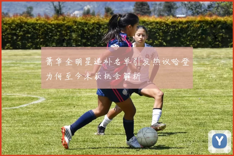 萧华全明星递补名单引发热议哈登为何至今未获机会解析