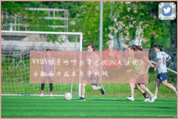 WNBA球员呼吁分享总收入关注收入分配而非成本与净利润